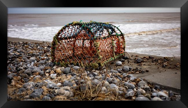 Crab fishing pot on Cromer beach, Norfolk coast Framed Print by Chris Yaxley