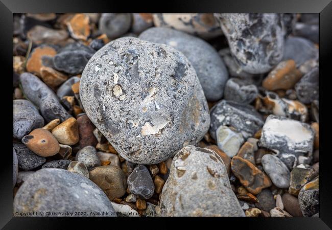 Seaside stones Framed Print by Chris Yaxley