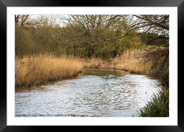 River Bure, Norfolk Broads Framed Mounted Print by Chris Yaxley