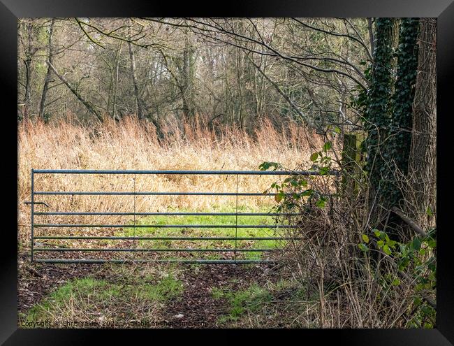 Rural Gate Framed Print by Chris Yaxley