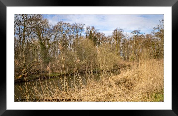 The River Bure in winter, Norfolk Broads Framed Mounted Print by Chris Yaxley