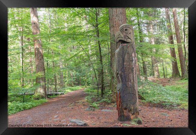 Wooden totem pole in Dunkeld, Perthshire Framed Print by Chris Yaxley