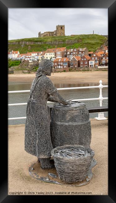 Herring Girl statue, Whitby Framed Print by Chris Yaxley
