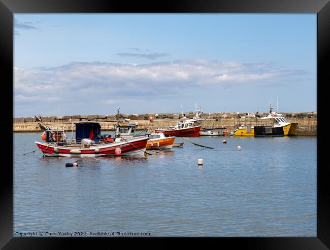 Fishing boats in Staithes harbour, North Yorkshire Framed Print by Chris Yaxley