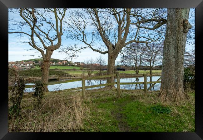Pond of the priory of St Mary in the Meadow Framed Print by Chris Yaxley