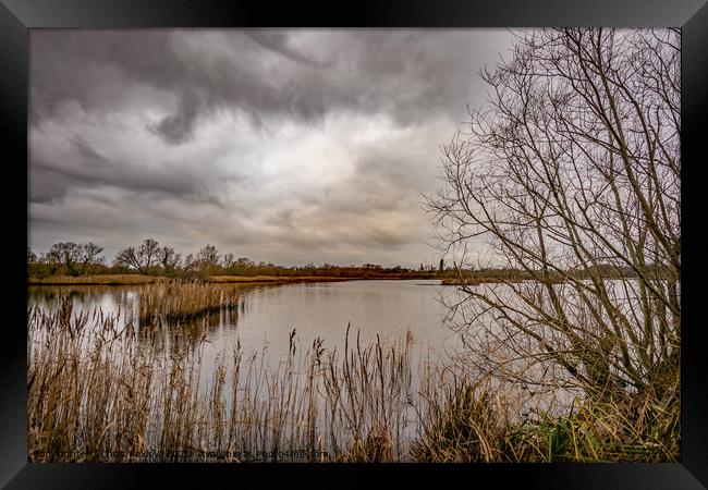 A view across Rockland Broad, Norfolk Framed Print by Chris Yaxley