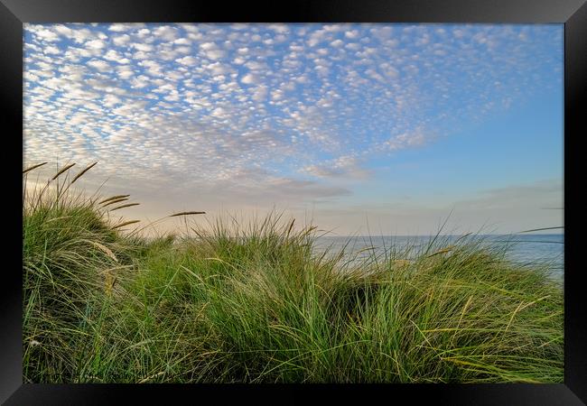 Sand dunes on the Norfolk coast Framed Print by Chris Yaxley