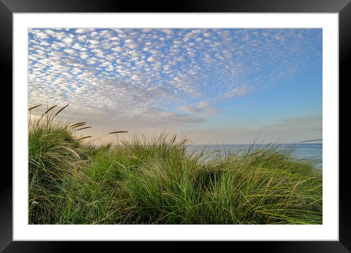 Sand dunes on the Norfolk coast Framed Mounted Print by Chris Yaxley
