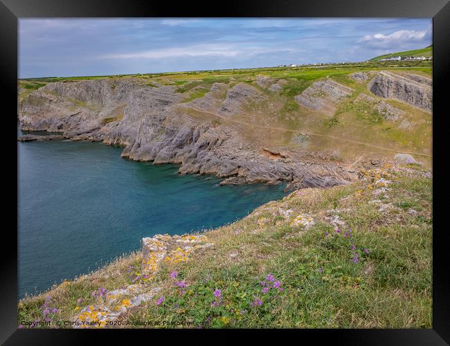 Mewslade Bay on the Gower Way, South Wales Framed Print by Chris Yaxley