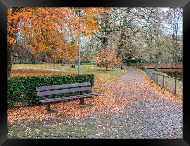 Wooden park bench in autumn in the Netherlands Framed Print by Chris Yaxley