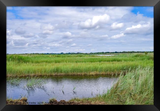 A view across Hickling Nature Reserve Framed Print by Chris Yaxley