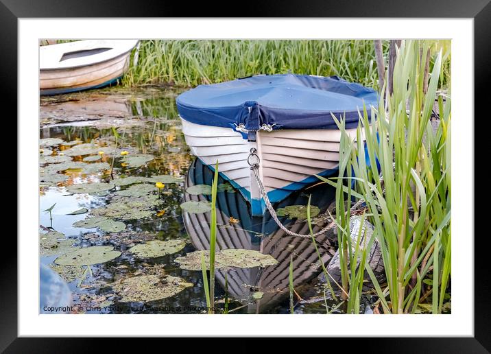 Moored row boat on the Norfolk Broads Framed Mounted Print by Chris Yaxley