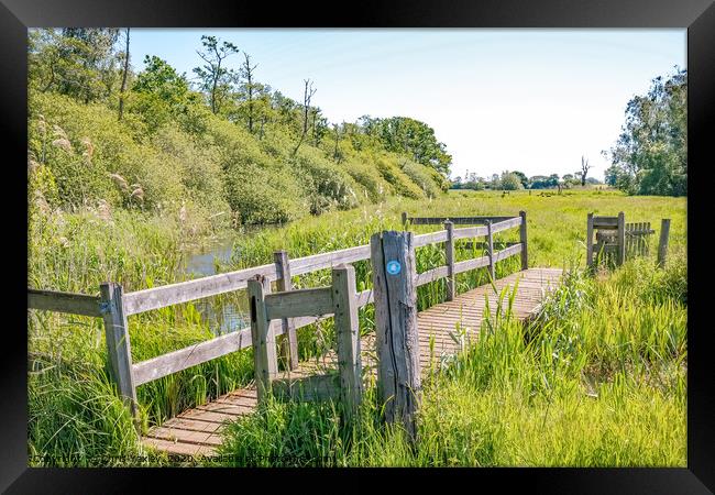 Wooden bridge in the Norfolk countryside Framed Print by Chris Yaxley