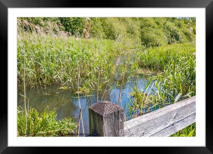 Bridge over the River Ant in rural Norfolk Framed Mounted Print by Chris Yaxley