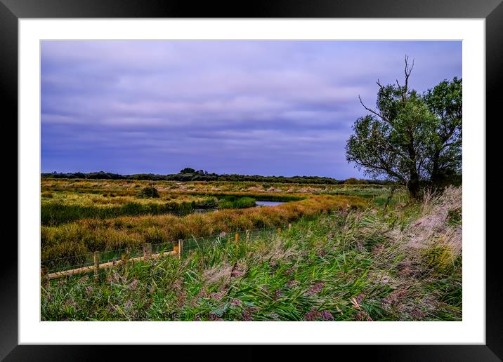 South Walsham marshes, Norfolk Framed Mounted Print by Chris Yaxley