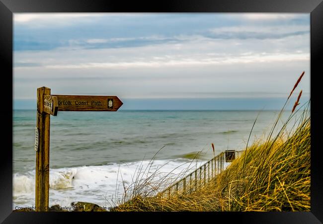 Norfolk Coast Path, Cart Gap Framed Print by Chris Yaxley