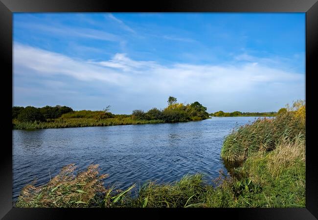 Windy day on the River Yare Framed Print by Chris Yaxley