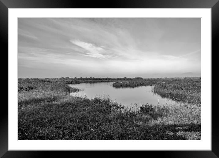 RSPB Strumpshaw Nature Reserve bw Framed Mounted Print by Chris Yaxley