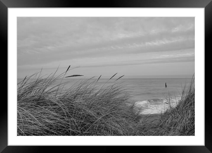 In the sand dunes on the North Norfolk coast bw Framed Mounted Print by Chris Yaxley