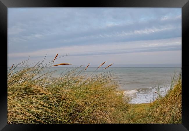 North Norfolk coast from the sand dunes Framed Print by Chris Yaxley