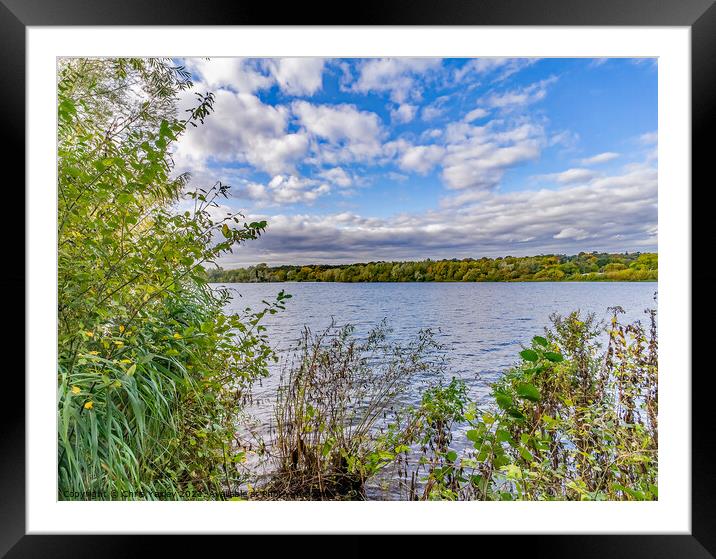 Whitlingham Broad in the heart of the Norfolk Broads Framed Mounted Print by Chris Yaxley