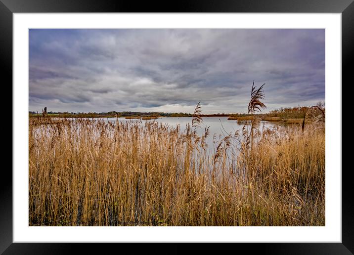 A winters day on the Norfolk Broads Framed Mounted Print by Chris Yaxley