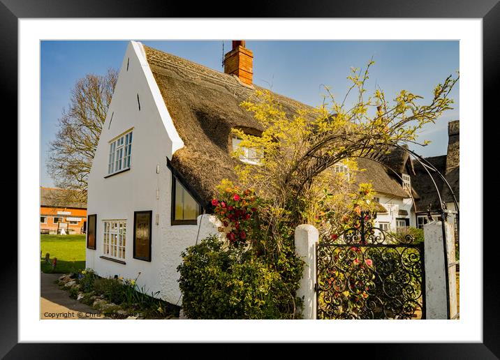 The Staithe n Willow cafe, Horning, Norfolk Broads Framed Mounted Print by Chris Yaxley