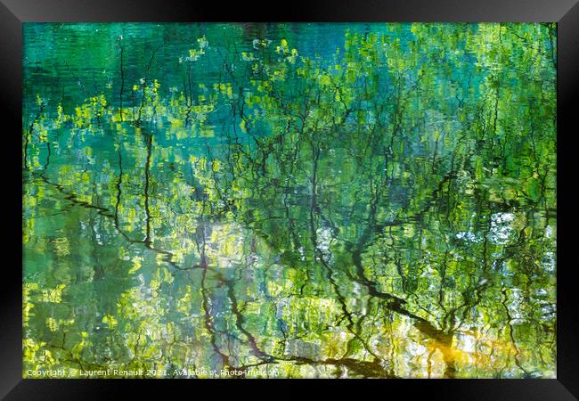 Reflection of tree branches in water Framed Print by Laurent Renault