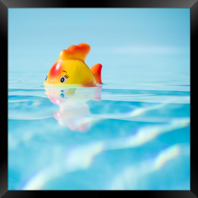 Toy fish in swimming pool Framed Print by Laurent Renault