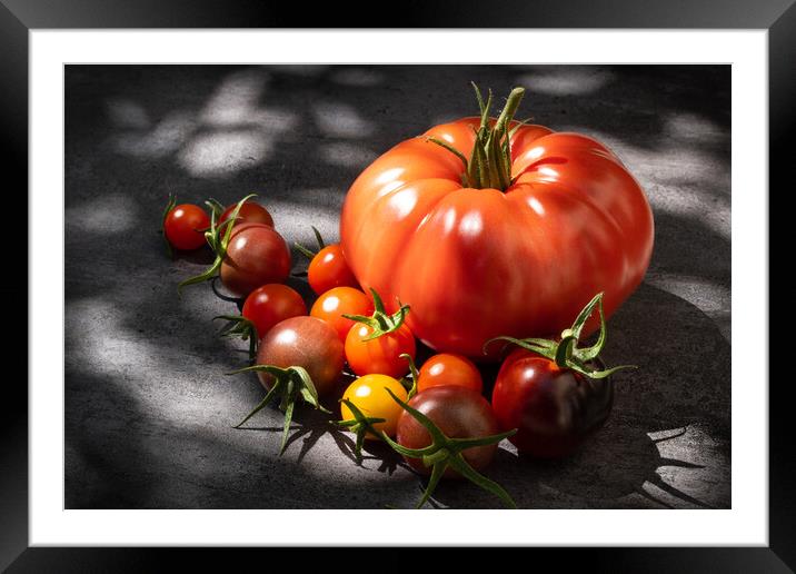 Still life tomatoes over dark background Framed Mounted Print by Laurent Renault