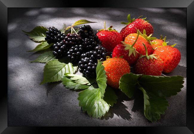 Still life strawberries and blackberries over dark background Framed Print by Laurent Renault