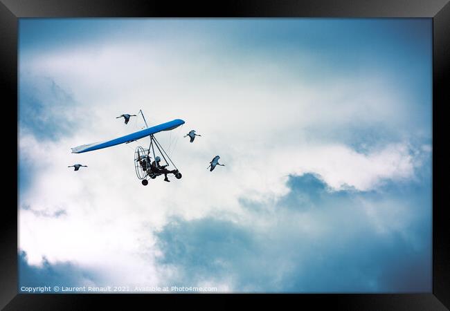 Microlight flying among the cranes Framed Print by Laurent Renault