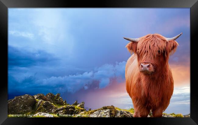 Portrait of a Scottish Highland cow over a burning sky Framed Print by Laurent Renault