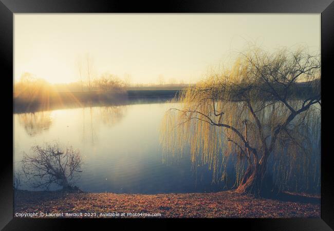 Wheeping willow tree at the pond in France Framed Print by Laurent Renault