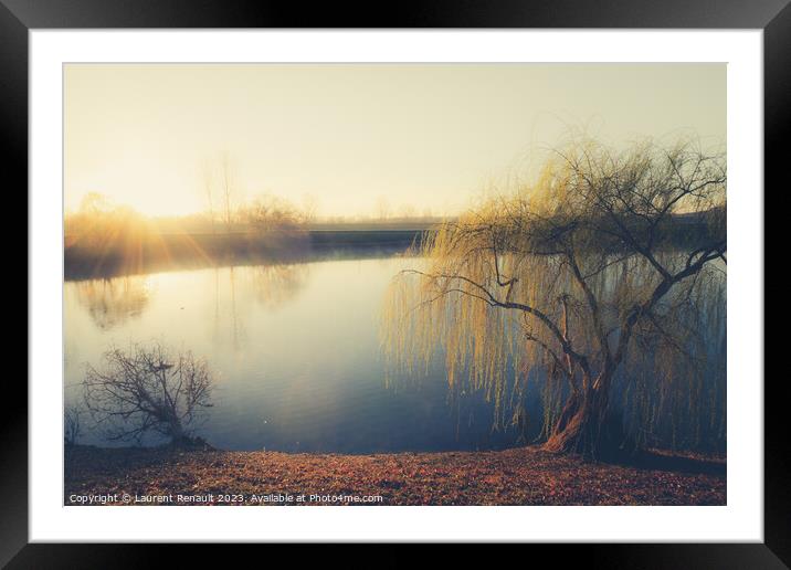 Wheeping willow tree at the pond in France Framed Mounted Print by Laurent Renault