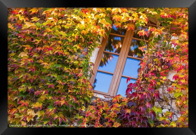 Window surrounded by ivy with autumn facade Framed Print by Laurent Renault