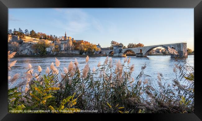 Avignon city and his famous bridge. Photography taken in France  Framed Print by Laurent Renault