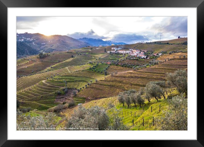 View of the Douro valley with the terraced vineyards and olive t Framed Mounted Print by Laurent Renault