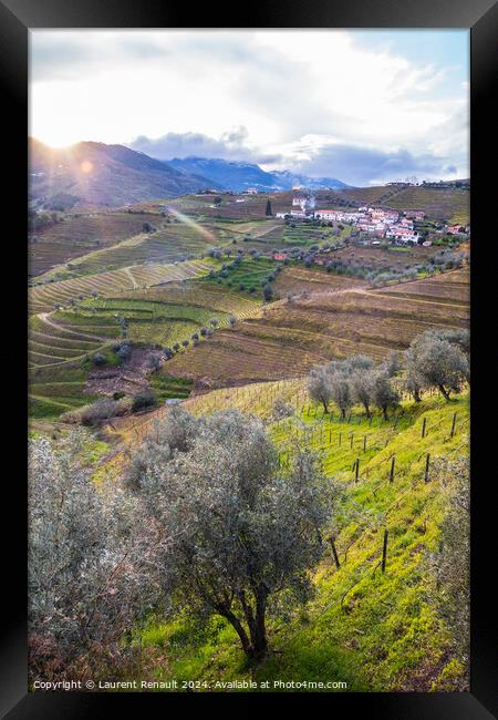 Vertical view of the Douro valley with the terraced vineyards an Framed Print by Laurent Renault