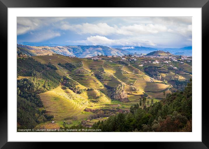 The Douro valley with the vineyards of the terraced fields, Port Framed Mounted Print by Laurent Renault