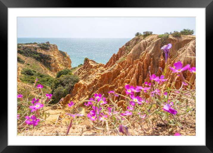 Cliffs and nature in spring near Benagil, Portugal Framed Mounted Print by Laurent Renault