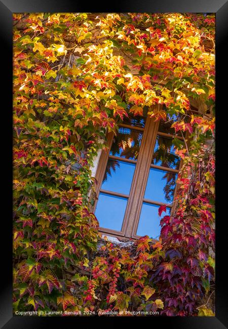 Window surrounded by the ivy with autumn facade Framed Print by Laurent Renault