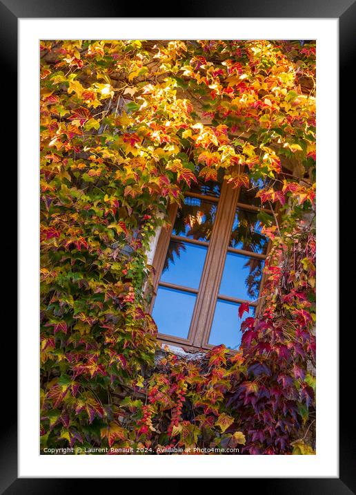 Window surrounded by the ivy with autumn facade Framed Mounted Print by Laurent Renault