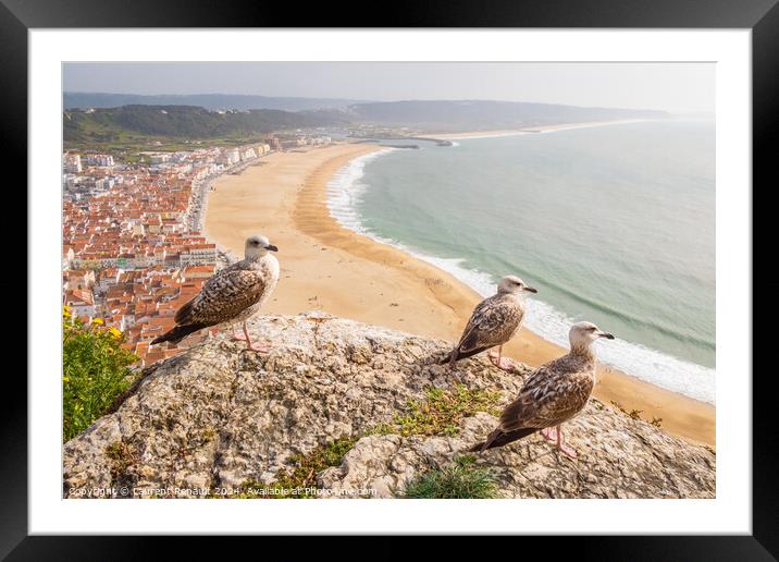 Aerial view of  Nazaré town observed by yellow-legged gulls in  Framed Mounted Print by Laurent Renault