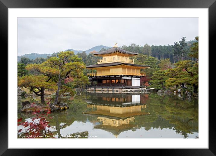View of Kinkakuji, Temple of the Golden Pavilion buddhist temple Framed Mounted Print by Yann Tang