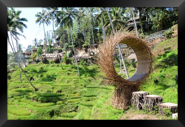 Tegallalang rice terraces in Ubud, Bali, Indonesia Framed Print by Yann Tang