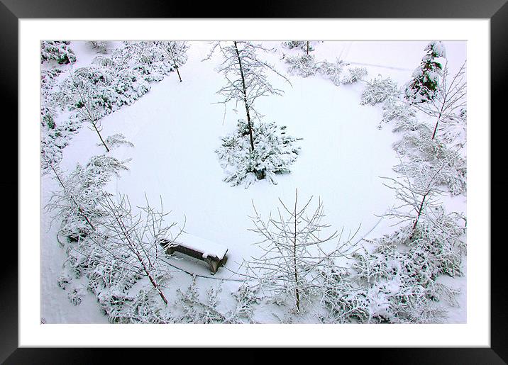Snowy Bench  Framed Mounted Print by Robert Gillespie