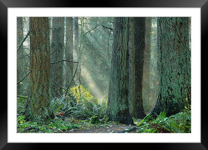 Suns Rays Framed Mounted Print by Robert Gillespie