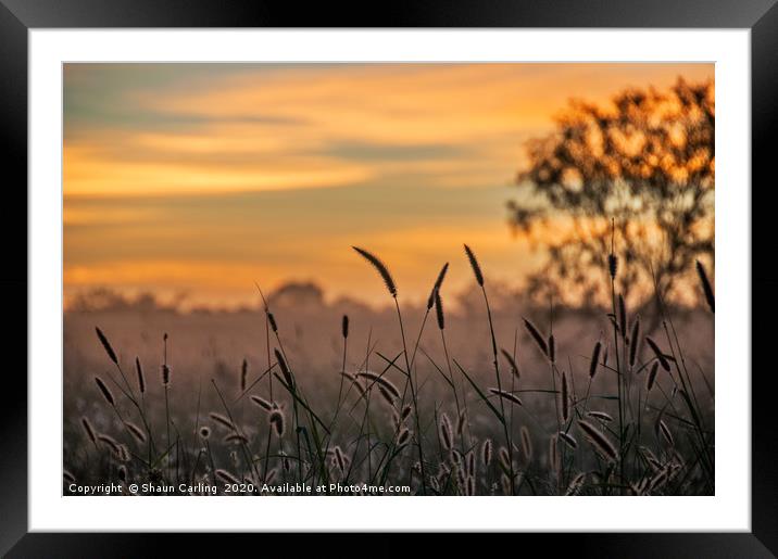 Australian Sunrise Framed Mounted Print by Shaun Carling