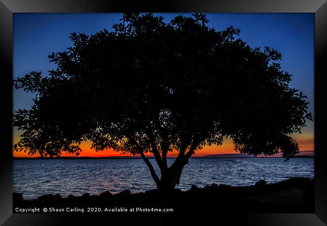 Sunset At Wellington Point Framed Print by Shaun Carling